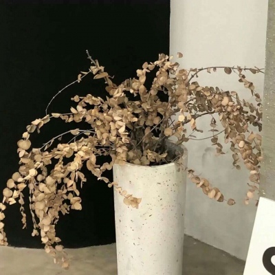 Furry绘画色彩灵感兽圈社群